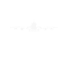 Airplane tshirt