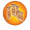 The meerkat family