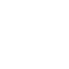 Protons Neurones Electrons Morons