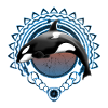 Orca killer whale