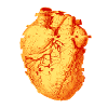 Heart Beat Glitch