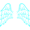 Angel wings wings
