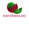 Materwelon Watermelon Watermelon fruity