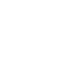 Elegant flying hawk