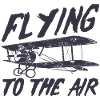 Flying to the air