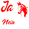 Pferde Spruch
