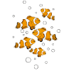 Clownfische