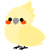 Calopsitte jaune