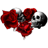 Skulls n Roses