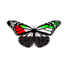 Palestine butterfly nation