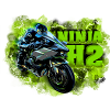 Ninja H2