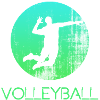 Volley-ball