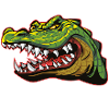 Crocodile alligator