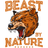 Bear Grizzly Beast natural
