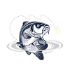Grosser Karpfen