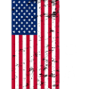 Drapeau USA