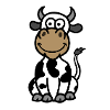 Cute cow