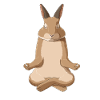 Meditate Rabbit