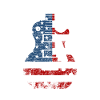 Guitar USA
