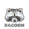 racoon
