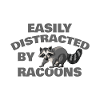 Raccoon Forest Bandit