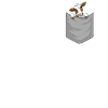 Cow in breast pocket
