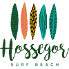 Hossegor surf beach
