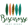 Biscarosse surf beach