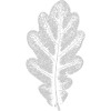 Leaf OAK / Oak Leaf WHITE