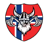 Norwegen Wikinger