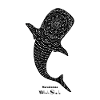 Morocco - Whale Shark - II