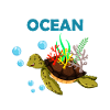 Turtle climate change