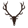 Deer - hunting - trophy - hunter