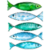 green marine fish