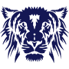 wild animal lion