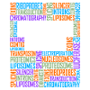 Molecular Biology Words