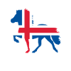 Island hest med flag