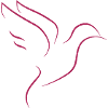 Colombe