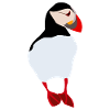 Puffin, Puffin, Bird, Animal, Iceland