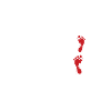 TRUE CRIME: True Crime Junkie