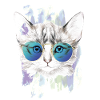 Chat - Chats - Miau - Chat Cool