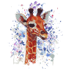 Giraffe - Giraffe Baby - Cool Giraffe