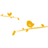 les oiseaux