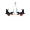Meditate Stork