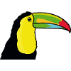 Toucan