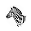 Zebra Head - Zebra Head