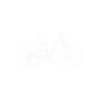 Vélo vieil homme