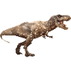 T Rex