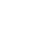 Ferret