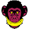 monkey smile banana smile